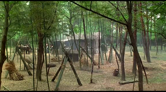 Detail obrázku bambus-a-kultura/Drunken-Monkey-De-Liu-Chia-Liang-2003-11.jpg