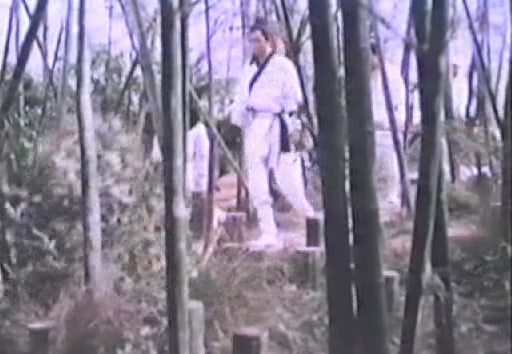 Detail obrázku bambus-a-kultura/Return-Of-The-One-Armed-Swordsman-01.jpg
