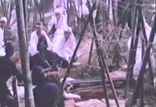 Detail obrázku bambus-a-kultura/Return-Of-The-One-Armed-Swordsman-03.jpg