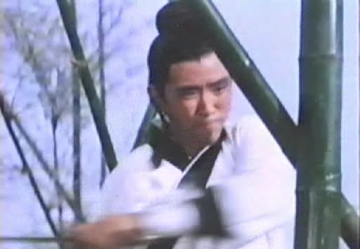 Detail obrázku bambus-a-kultura/Return-Of-The-One-Armed-Swordsman-12.jpg