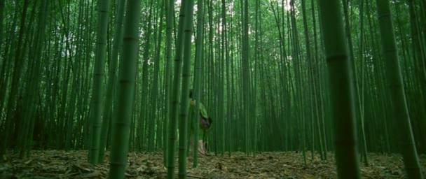 Detail obrázku bambus-a-kultura/Samourais-03.jpg