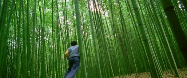 Detail obrázku bambus-a-kultura/Samourais-24.jpg