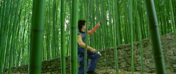 Detail obrázku bambus-a-kultura/Samourais-26.jpg