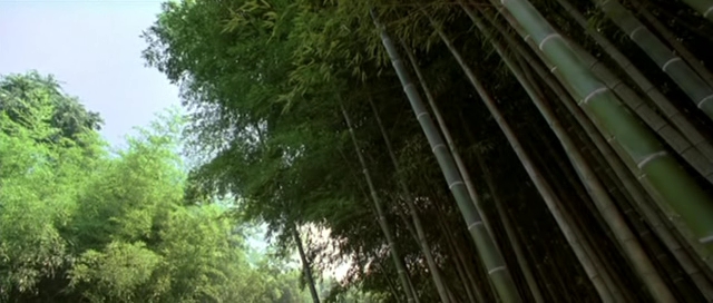 Detail obrázku bambus-a-kultura/Sword-In-The-Moon-2003-04.jpg