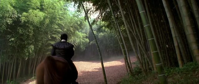 Detail obrázku bambus-a-kultura/Sword-In-The-Moon-2003-05.jpg
