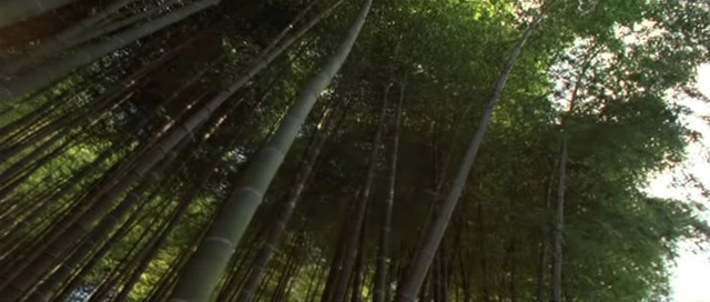 Detail obrázku bambus-a-kultura/Sword-In-The-Moon-2003-08.jpg