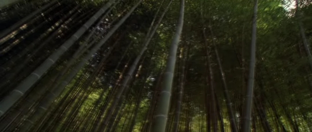 Detail obrázku bambus-a-kultura/Sword-In-The-Moon-2003-09.jpg