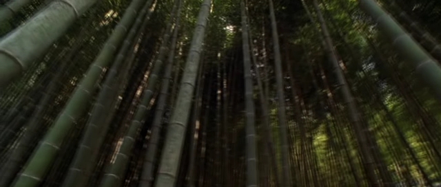 Detail obrázku bambus-a-kultura/Sword-In-The-Moon-2003-10.jpg