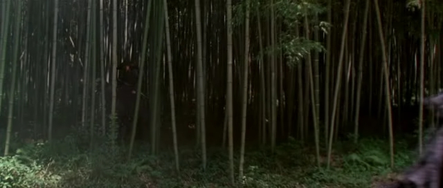 Detail obrázku bambus-a-kultura/Sword-In-The-Moon-2003-11.jpg