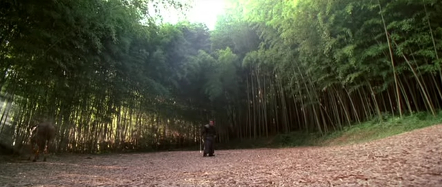 Detail obrázku bambus-a-kultura/Sword-In-The-Moon-2003-16.jpg