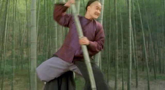 Detail obrázku bambus-a-kultura/Taichi-boxer-10.jpg