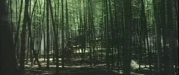 Detail obrázku bambus-a-kultura/Touch-of-zen-1969-04.jpg
