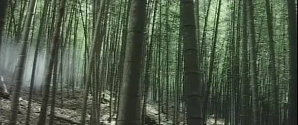 Detail obrázku bambus-a-kultura/Touch-of-zen-1969-05.jpg