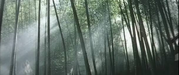Detail obrázku bambus-a-kultura/Touch-of-zen-1969-06.jpg