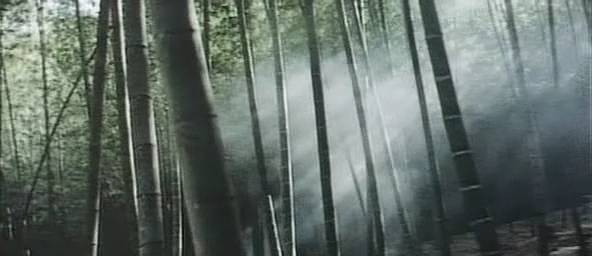 Detail obrázku bambus-a-kultura/Touch-of-zen-1969-12.jpg