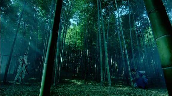 Detail obrázku bambus-a-kultura/White-dragon-03.jpg