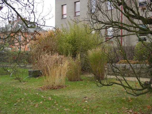Detail obrázku kam-za-bambusy/Botanicka-Liberec-01.jpg