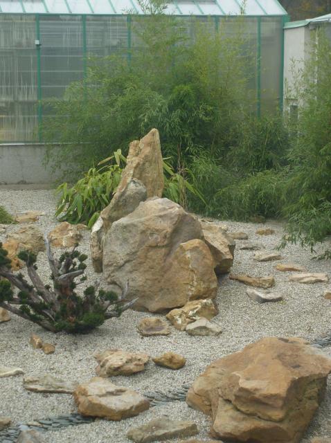 Detail obrázku kam-za-bambusy/Botanicka-Liberec-10.jpg