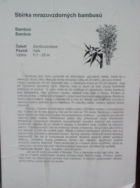 Detail obrázku kam-za-bambusy/Botanicka-zahrada-Troja-05.jpg
